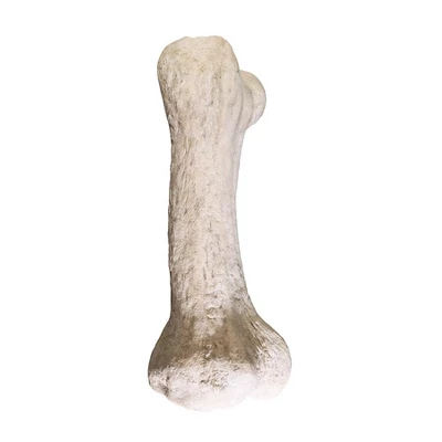Design Toscano Gigantic Dinosaur Bone Sculpture - Image 2