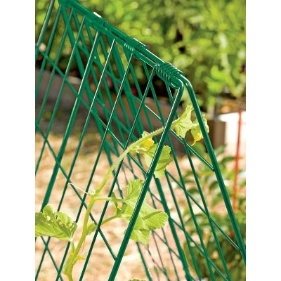 Deluxe Cucumber Trellis - Image 2
