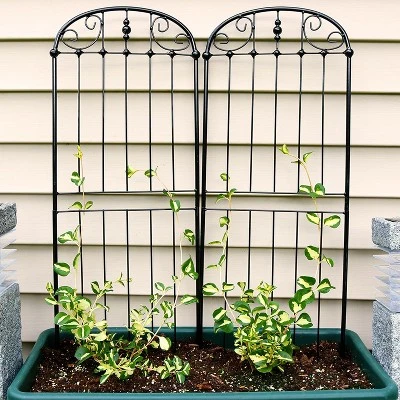 Sunnydaze Decor Sunnydaze Metal Wire Traditional Garden Trellis For Climbing Plants And Flowers - 32" H - Black - 2-Pack