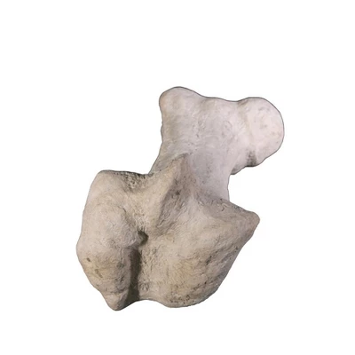 Design Toscano Gigantic Dinosaur Bone Sculpture - Image 7